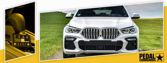 PC10 / BMW / X4 / G02 (2019+) / (xDrive30i)
