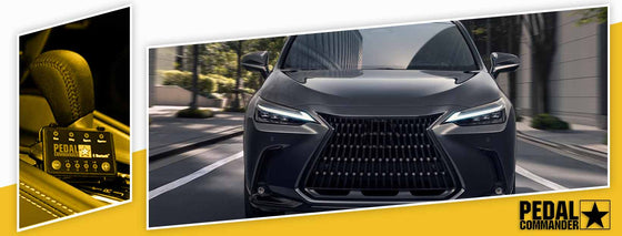 PC55 / Lexus / NX / AZ20 (2022+) / (2.4L-2.5L)