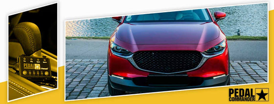PC41 / Mazda / CX3 / DK (2016+) / (2.0L)