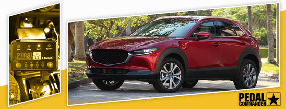 PC41 / Mazda / CX30 / DM (2020+) / (2.0L)
