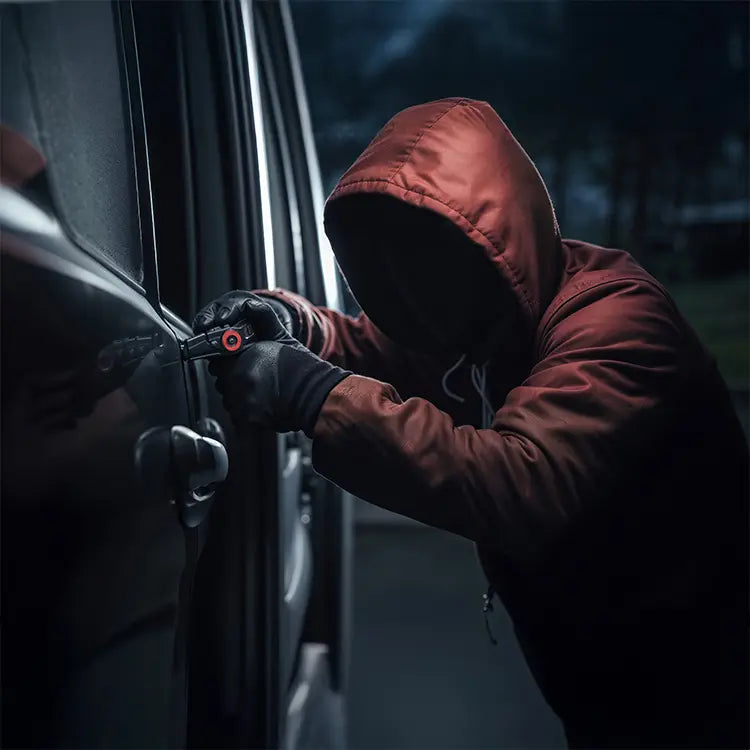 /collections/anti-theft