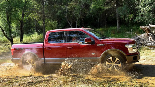 F150 Chronicles: Navigating the Roads with Ford's Mighty Beast