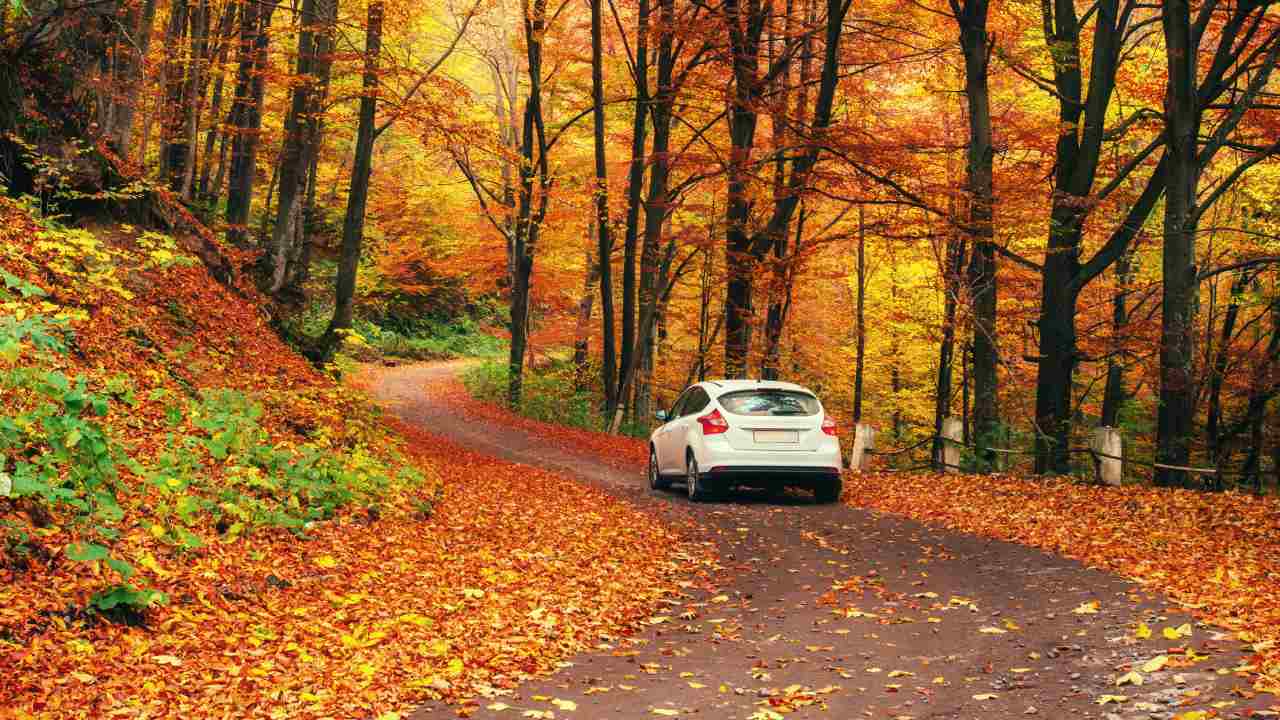 How to Prepare Your Car For the Autumn? – Pedal Commander®