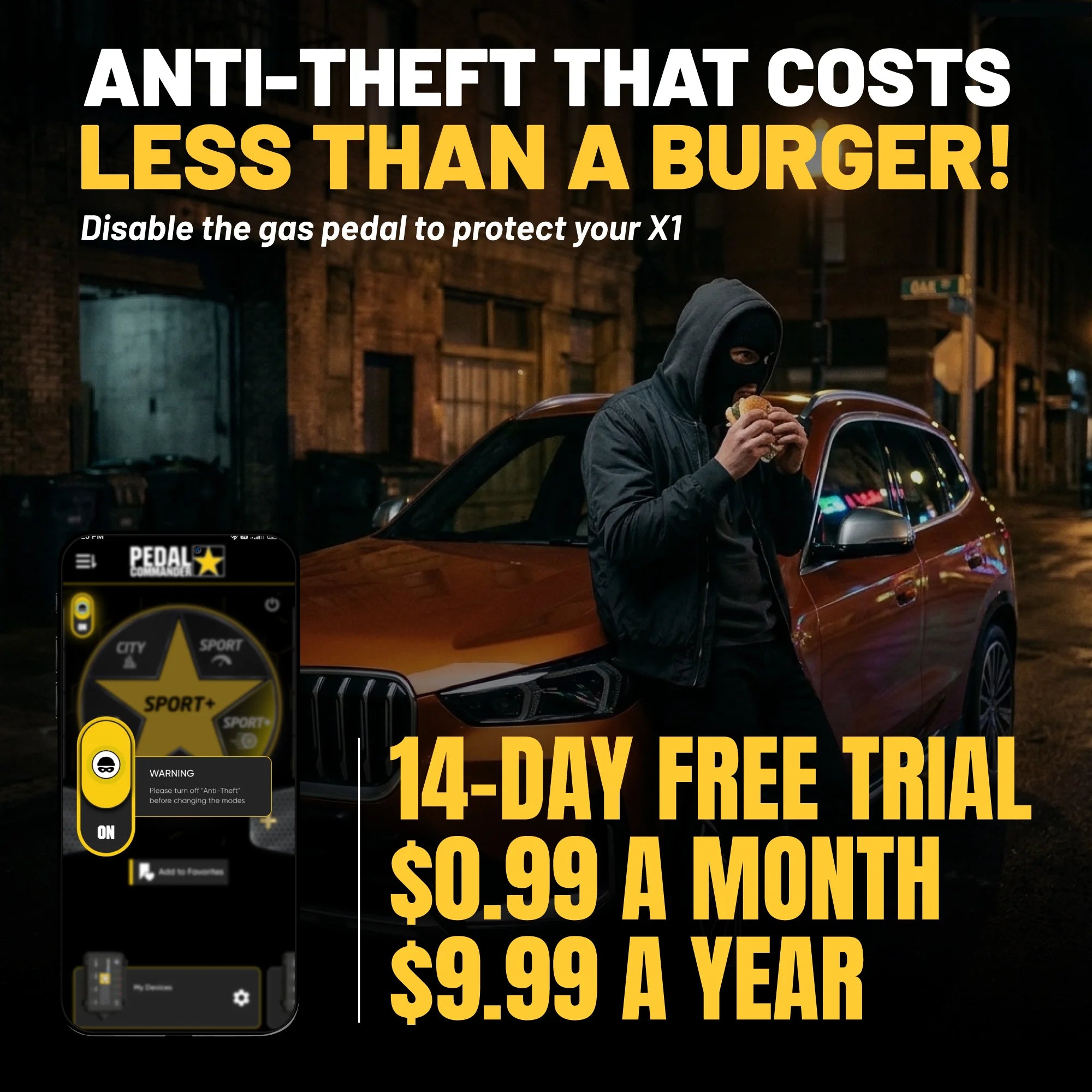 gallery-theft-bmwX1
